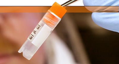 Saffron Scientific Equipment Ltd