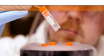 Saffron Scientific Equipment Ltd
